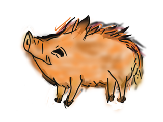 豚4.png