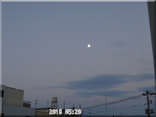 GIGTF4FvydqOU7e1532918081_1532918174.jpg