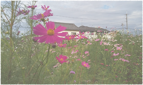 LdJiI_y2p5P63DX1569639148_1569639229.png