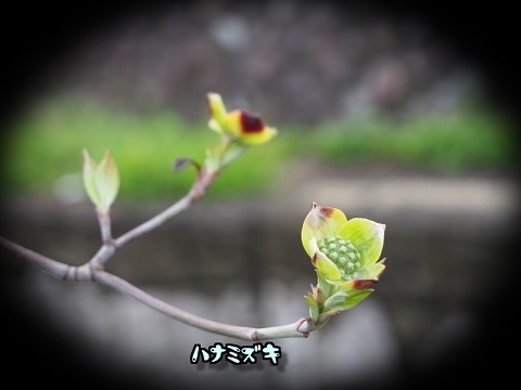 W8OwqwGK5th1u0a1428667028_1428667126.jpg