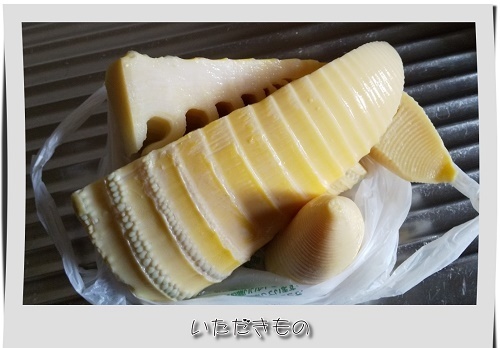 _VKUjpXjIKlPOKi1556077646_1556077679.jpg