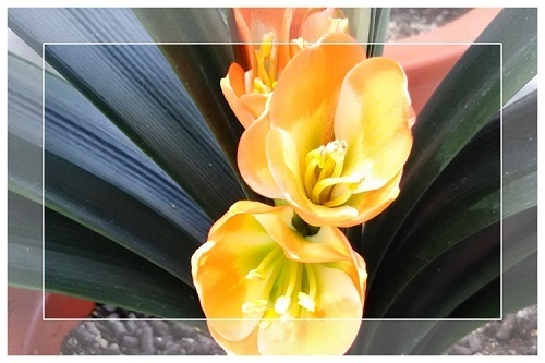framee4637403d12fc0d2c90e4971cb93582a9d97e09e.jpg