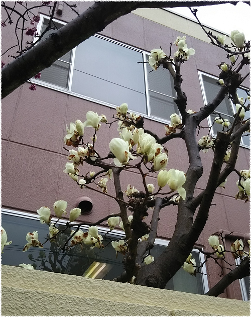 gTUL5QicETPJzU21552968296_1552968319.png