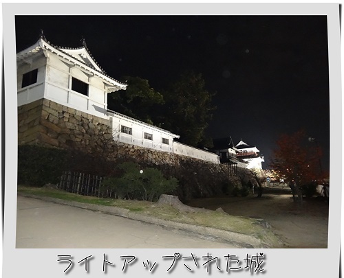 nROpaUmIzChU7pk1575196198_1575196264.jpg