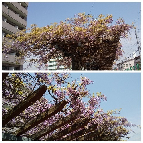 nzQy0328Zw30-T8s521Cnw_r.jpg