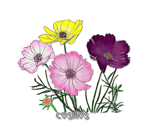 v1rpYupsb5AIsuo1579843600_1579843697.png