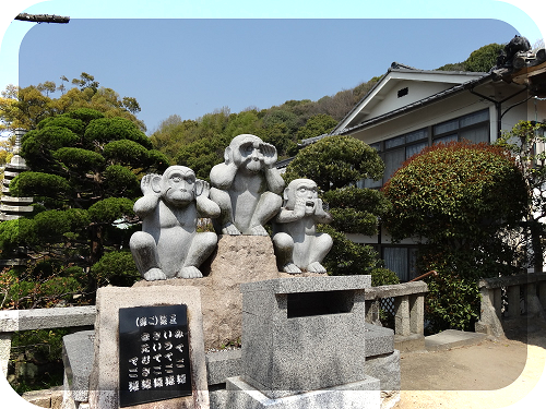 zW_LyZOqnZ1mtxF1554606316_1554606345.png